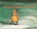 Le petit lapin de noel